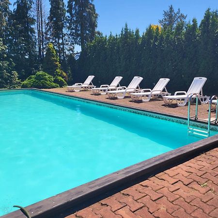 Dog Friendly Dom, Apartamenty Wichrowe Wzgorza Z Basenem Brenna Ustroń Exteriör bild