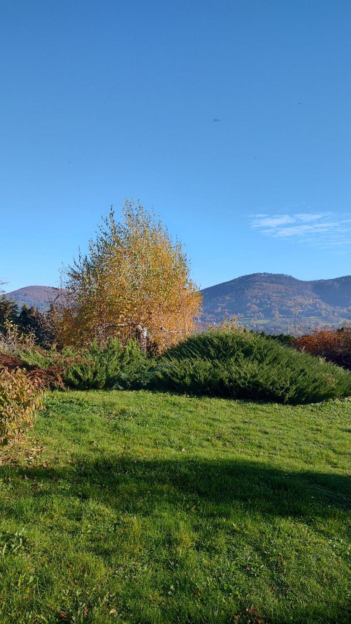 Dog Friendly Dom, Apartamenty Wichrowe Wzgorza Z Basenem Brenna Ustroń Exteriör bild