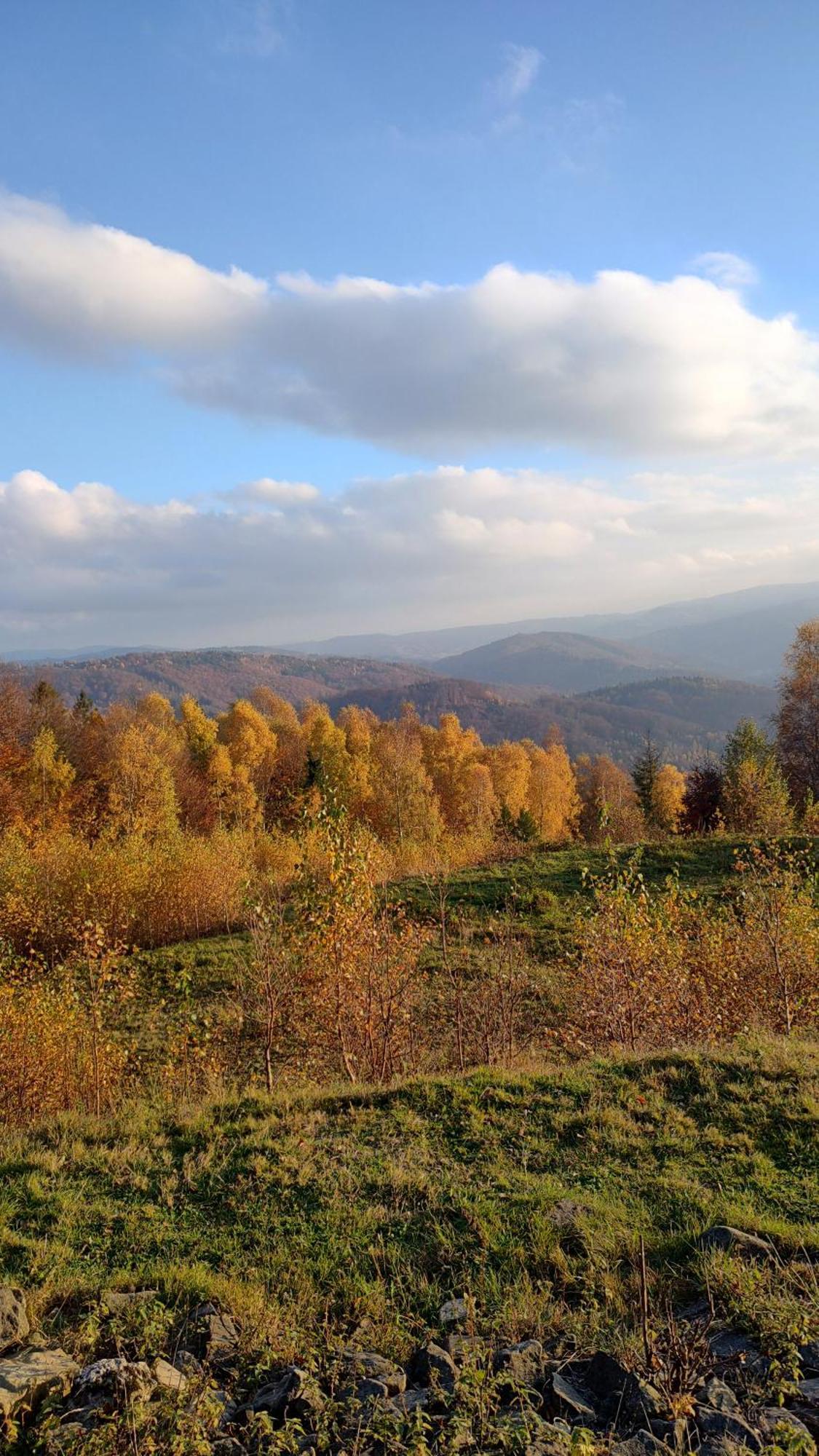 Dog Friendly Dom, Apartamenty Wichrowe Wzgorza Z Basenem Brenna Ustroń Exteriör bild