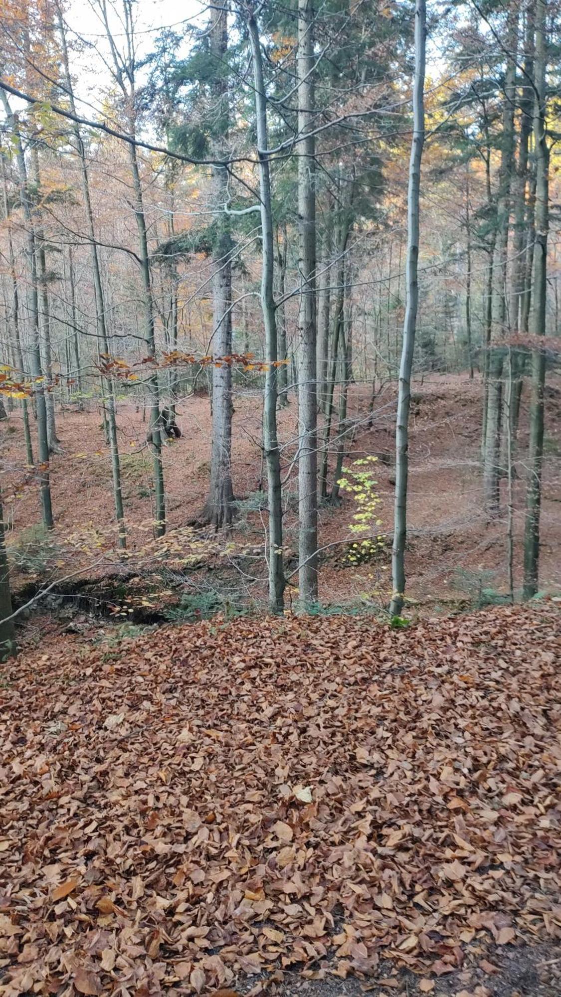 Dog Friendly Dom, Apartamenty Wichrowe Wzgorza Z Basenem Brenna Ustroń Exteriör bild