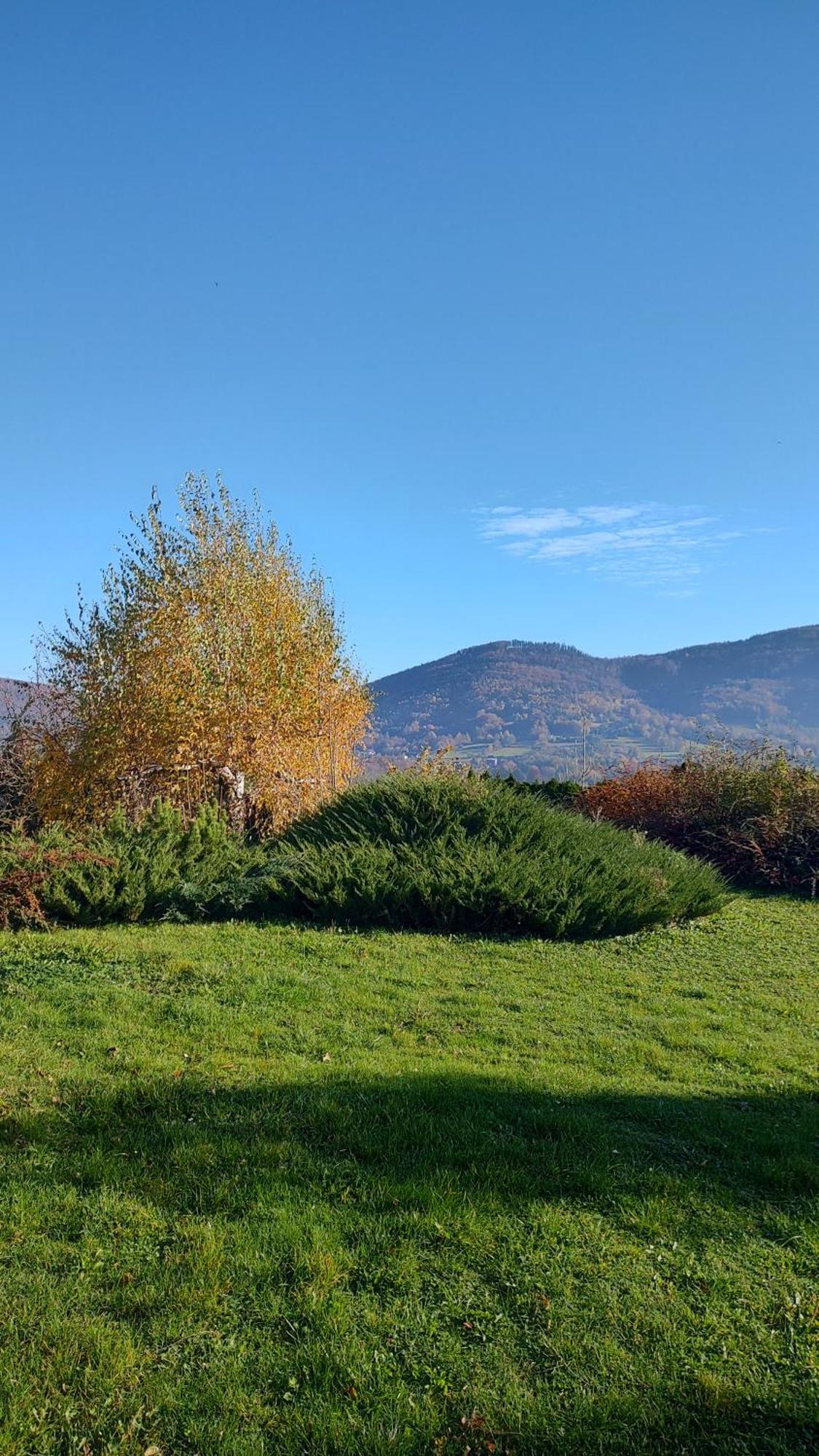 Dog Friendly Dom, Apartamenty Wichrowe Wzgorza Z Basenem Brenna Ustroń Exteriör bild